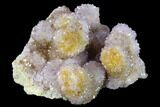 Cactus Quartz (Amethyst) Crystal Cluster - South Africa #134338-1
